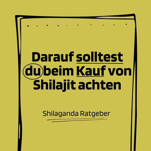 Worauf muss ich beim Kauf von Shilajit achten?