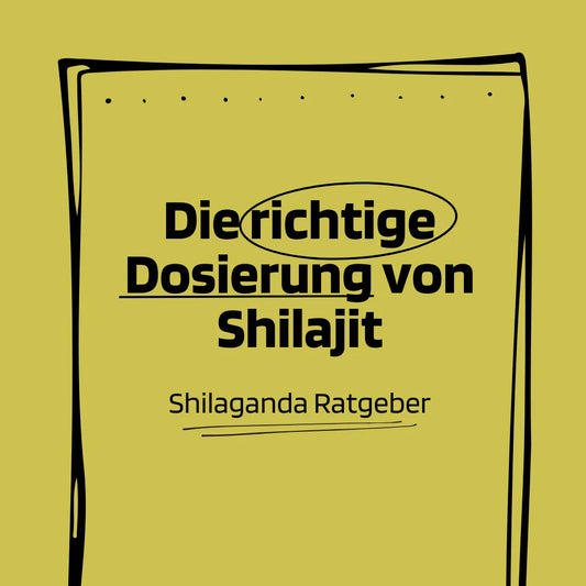 Die richtige Dosierung und Anwendung von Shilajit