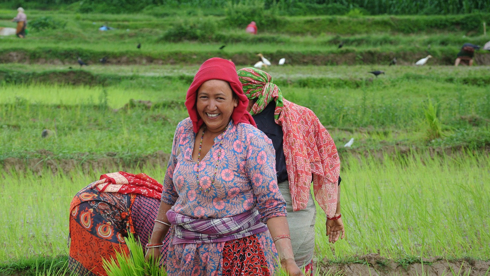 Lächelnde Frau in traditioneller Kleidung bei der Feldarbeit in einer grünen Reisplantage, umgeben von ländlicher Landschaft – authentischer Einblick in nachhaltige Landwirtschaft und kulturelle Traditionen